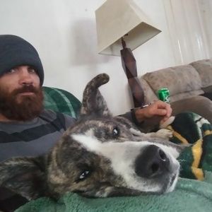 Meet your Posher, Adam